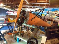 Fokker D.VIII - Image 3