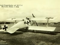 LFG Roland C.II - Image 2