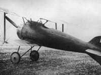 LFG Roland D.IX - Image 2