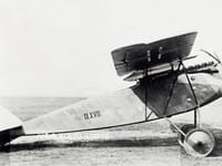 LFG Roland D.XVII - Image 2