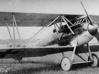 LVG D.III