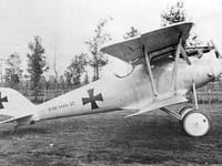Pfalz D.III - Image 6