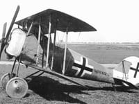 Pfalz D.VIII