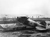 Pfalz D.XII - Image 5