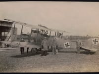 Albatros C.V - Image 2