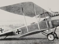 Albatros C.X