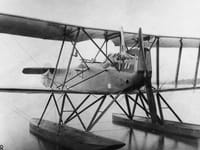 Friedrichshafen FF.64