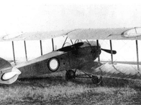 Anatra D Anade - Image 2