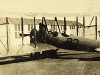 LWF model V - Image 3