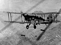 Westland Wapiti - Image 3