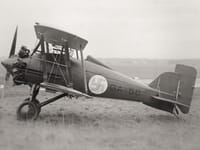 Gloster Gamecock - Image 3