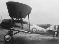 Gloster Gorcock - Image 2
