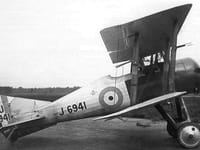 Gloster Nightjar - Image 3