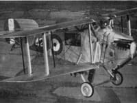 Avro Bison