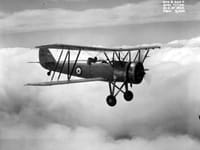 Avro Tutor - Image 4