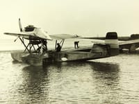 Fokker B.II (1923) - Image 2