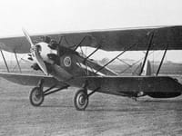 Breda Ba.19