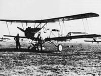 Curtiss Fledgling - Image 2