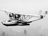 Consolidated P2Y - Image 3