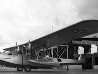 Consolidated P2Y - Image 4