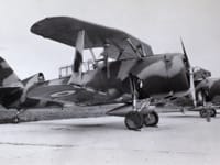 Curtiss SBC Helldiver - Image 2