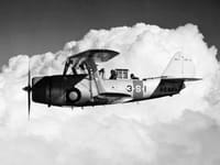 Curtiss SBC Helldiver - Image 5