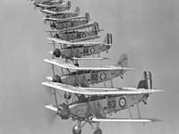 Blackburn Baffin - Image 2