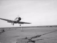 Blackburn Skua - Image 6