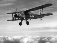 Fairey Albacore - Image 4