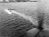 Heinkel He 115 - Image 7