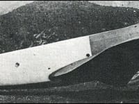 Piaggio P.32