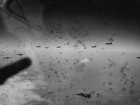 Boeing B-17 Flying Fortress - Image 8