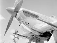 Hawker Hurricane variants - Image 11