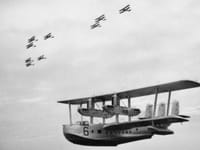 Short Singapore - Image 5