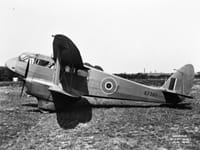 De Havilland Dragon Rapide - Image 2