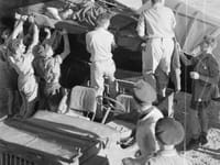 Westland Lysander - Image 4