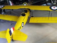 Fleet Fawn - Image 2