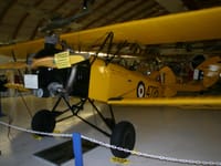 Fleet Finch - Image 4