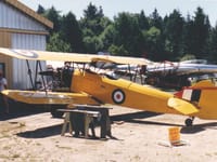 Fleet Finch - Image 3