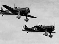 Fokker D.XXI - Image 4