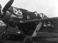 Focke-Wulf Fw 190 - Image 12
