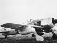 Focke-Wulf Fw 190 - Image 25