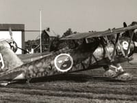 Fiat CR.42 Falco - Image 9