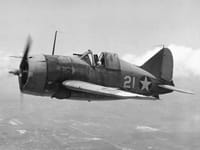 Brewster F2A Buffalo