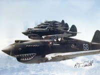 Curtiss P-40 Warhawk - Image 17