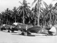 Curtiss P-40 Warhawk - Image 19