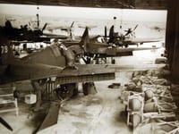 Curtiss P-40 Warhawk - Image 5