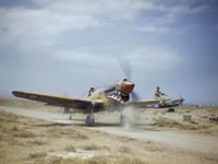 Curtiss P-40 Warhawk - Image 26