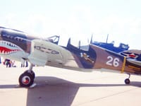 Curtiss P-40 Warhawk - Image 27