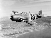 Grumman F4F Wildcat - Image 11